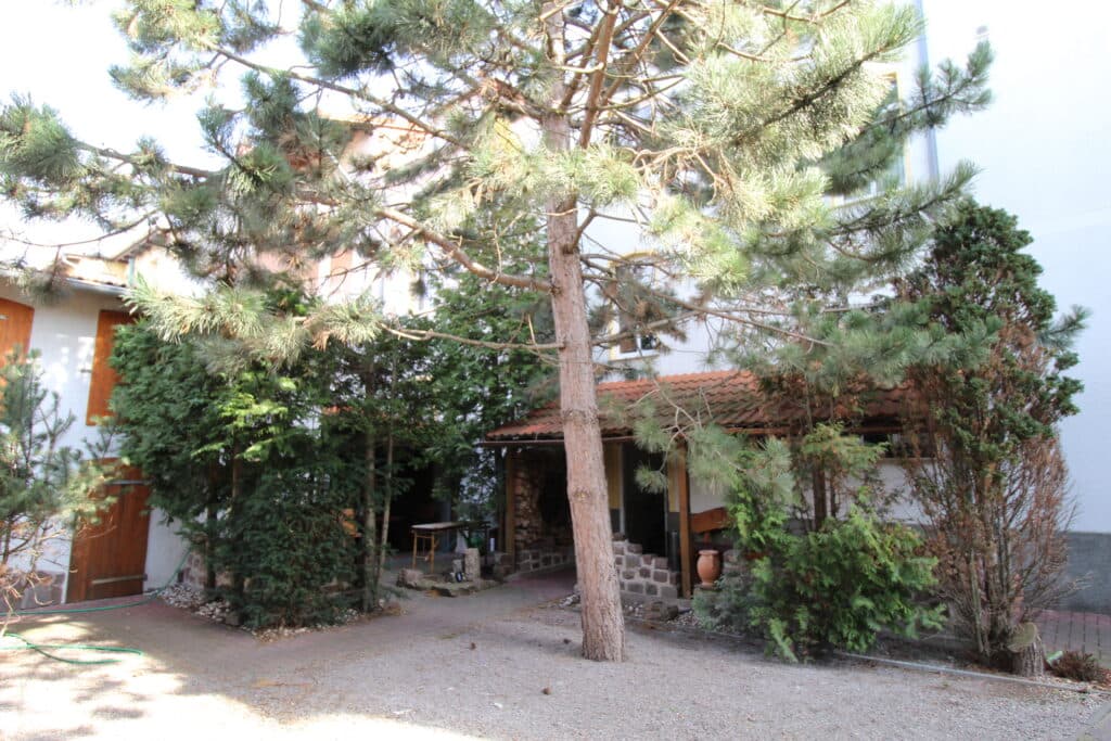 Garten und überdachter Sitzbereich der Pension Mariba